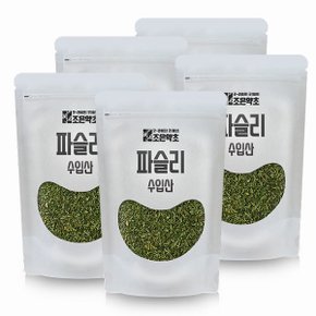 굿허브 파슬리 분태 100g x 5