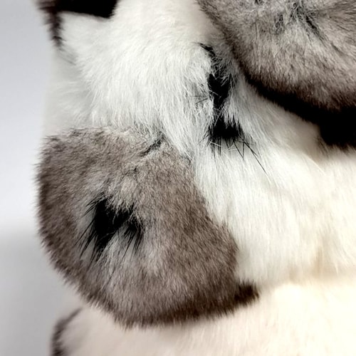 https://image.gugus.co.kr/gd/2026/03/10420882/10420882_4_20260312155808_534x534.jpg