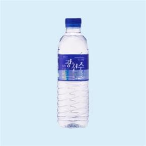 광천수 500ML X 20병