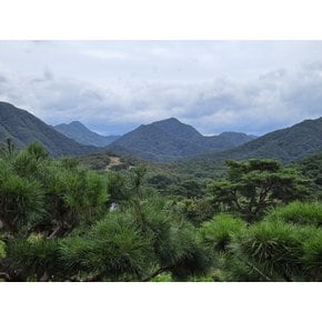 [당일/9~10월] `푸른 물빛 벗 삼아 걷는 수변길` - 괴산 산막이옛길 순환코스(괴산호수길)ㆍ문광저수지 은행나무길 & 버섯전골