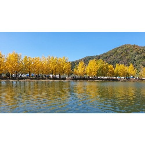 https://media.eoding.com/media/travelagent/40/imagecontent/문광저수지_1.jpg