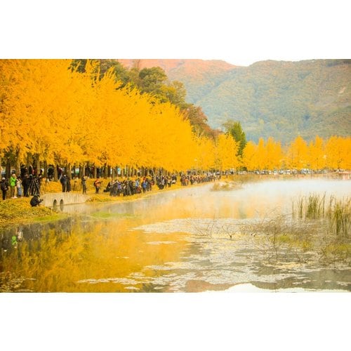 https://media.eoding.com/media/travelagent/40/imagecontent/문광저수지_2.jpg