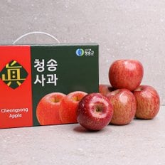 장수상회 [오늘신선] 경북 청송  프리미엄 과일선물 사과세트 2.5kg 중대과(5-7과 내외)