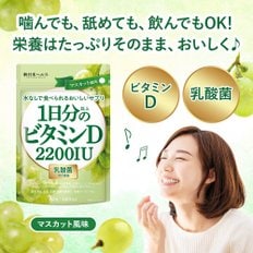 D 2200IU 신일본 헬스 1일분 이상의 비타민 맛있는 유산균 100억개 60알 약 60일분 영양 기능