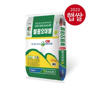 롯데상사 [동송농협] 강원도 철원 오대쌀 20kg/상등급/23년산