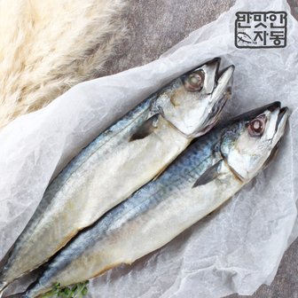 한원푸드 [안동맛자반] 안동간고등어 500g 5손 (10마리)