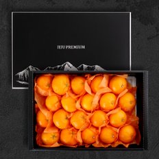 다농이네 제주직송 천혜향+레드향 선물세트 4.5kg (중과/18-22과)