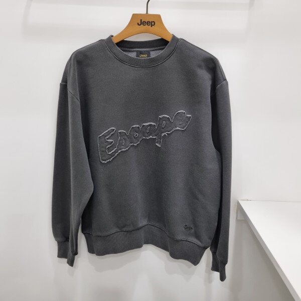확대된 대표 1