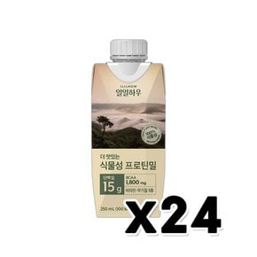 일일하우 마시는식물성프로틴밀 비건음료 250ml x 24개