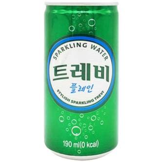  롯데 트레비 플레인 190ml x 30개