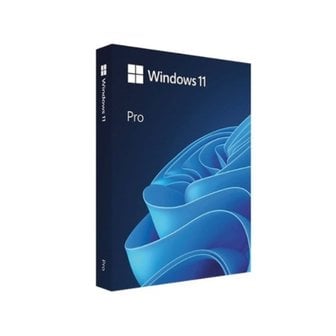 아이코다 마이크로소프트 Windows 11 Pro (FPP/한글/USB)