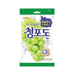 롯데 청포도 캔디323g X3개