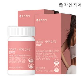 다이어트 체지방 감소엔 칼로컷 900mg x 42정 x 2개