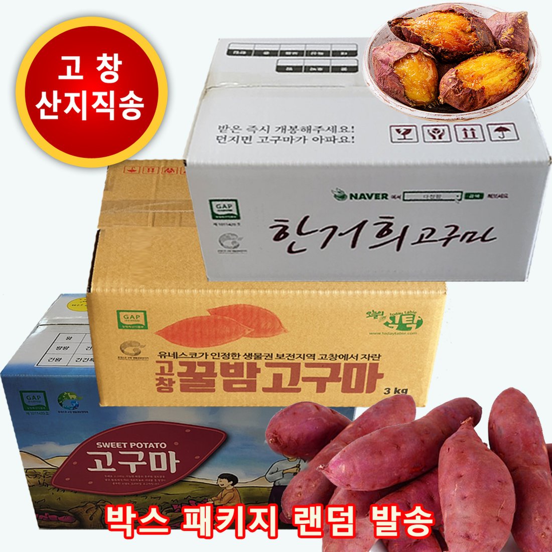 호박고구마 10kg 가격 꿀고구마 맛있다. 3