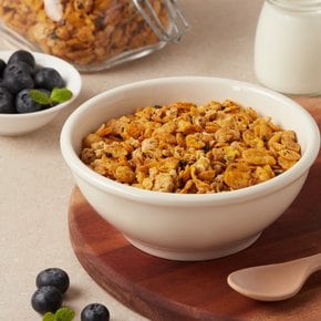 포스트 그래놀라 블루베리 500g