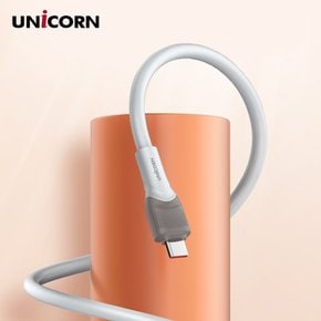 USB C to C타입 100W초고속 충전 데이터 케이블 PLC-2M100W