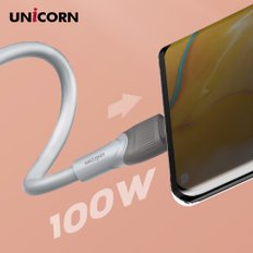 USB C to C타입 100W초고속 충전 데이터 케이블 PLC-2M100W