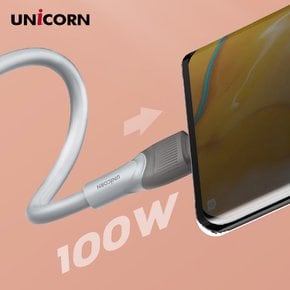 USB C to C타입 100W초고속 충전 데이터 케이블 PLC-2M100W