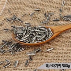 건강알곡 해바라기씨 500g 앵무새 햄스터 간식 사료