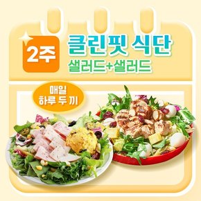 샐러드 2주 클린핏 식단/ 하루 두 끼를 샐러드로 클린하게 (총 24팩)