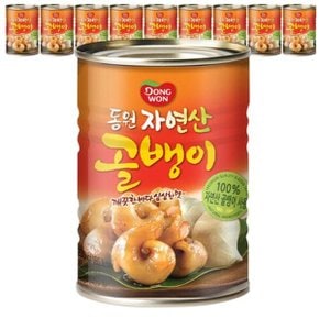 동원 자연산 골뱅이 골뱅이캔 통조림 230g 10개