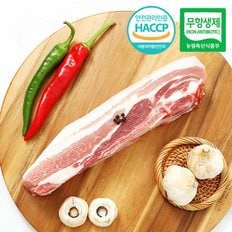 [아우내축산]무항생제HACCP 1등급 한돈 오겹살 수육용 500g