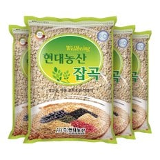 현대농산 국산 압맥 4kg (1kgx4봉) 보리