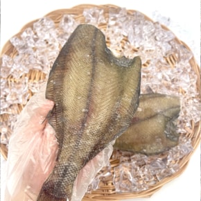 가락시장 참가자미 3미 220g