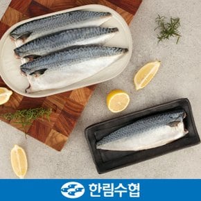 [제주 한림수협] 제주직송 제주 순살 고등어 25팩(1팩당 100g) / 냉동