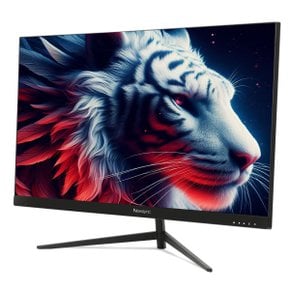 비트엠 Newsync P27Q IPS 플렉스 100 HDR