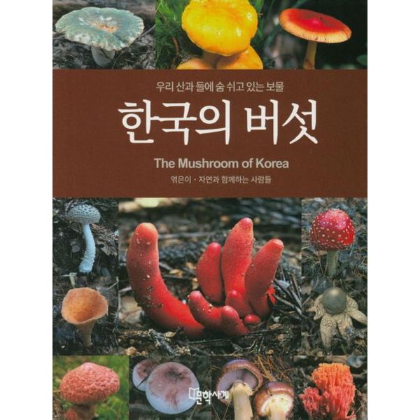확대된 대표 default