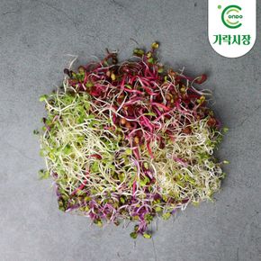[온도씨]가락시장 당일경매 새싹 1팩(50g)[36118811]