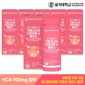 탄수화물 컷 가르시니아 다이어트6 플러스 120정x6개(12개월분)