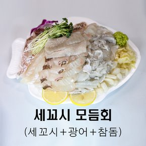 세꼬시모듬회 [세꼬시+광어+참돔] 활어 모듬회 + 6종양념