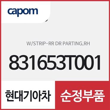 현대모비스 리어 도어 파팅 웨더스트립 (고무몰딩),우 (831653T001) K9