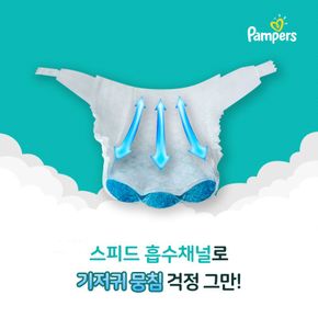 베이비드라이 밴드형 기저귀 1박스[33846799]