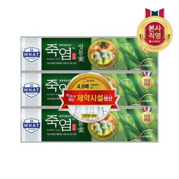 엘지생활건강 죽염 잇몸고 치약 120g x 3개[33488349]