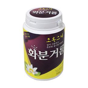 거름 비료 화분비료 화분영양제 식물 화분 난 키우기 화단 영양제 공기정화식물 300g X ( 2매입 )