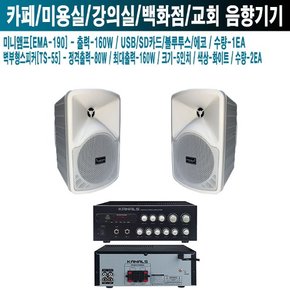 이자카야 카페 카날스 앰프 스피커 EMA-190 TS-55 W