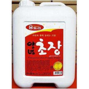 소스 초고추장 양념 움트리 13kg 회초장 초장 (WCF797D)