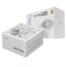 세고탭 Segotep GM750W GOLD 풀모듈러 ATX 3.1 (PCIE5.1) 화이트