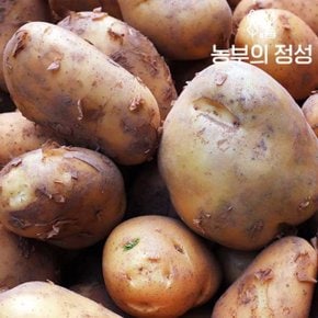 [농부의정성] 포근포근 햇감자 못난이 5kg / 100g-130g