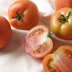 속이 꽉찬 찰진 국내산 찰토마토 2kg 사이즈랜덤 과일연가