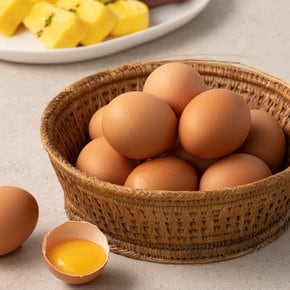 [3번사육] 지리산 산골 어린닭이 낳은 신선햇달걀 20입