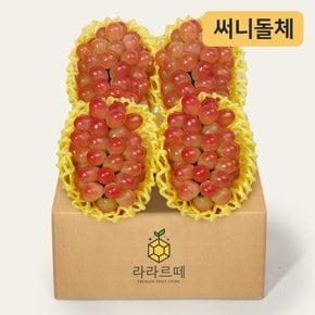 써니돌체포도 4입(1입 500g이상,총 2kg)