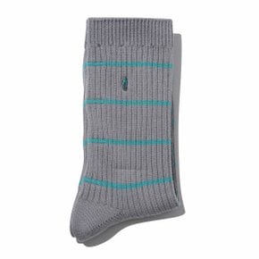 Mint Stripe Socks_CALAX25103MIX