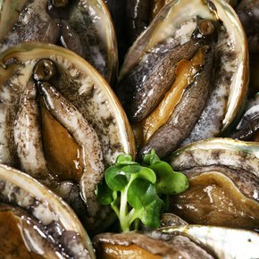 [바다마을협동조합] 완도활전복 구이용 활전복 20~25마리 산소포장 500g