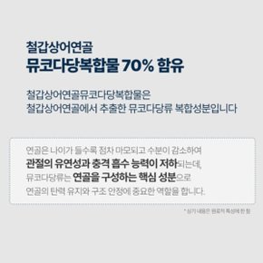 콘드로이친 보스웰리아 mbp 저분자 철갑상어 상어연골 뮤코다당단백 칠갑