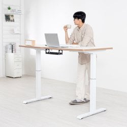 핏쳐 E2 1200 모션데스크