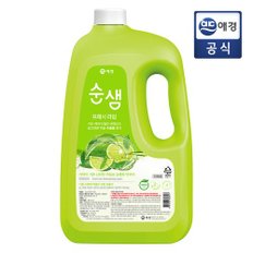 라임 3L 용기 x 1개